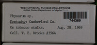 Image Associated With the Occurence